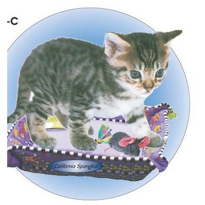 California Spangled Cat Acrylic Coaster w/Felt Back