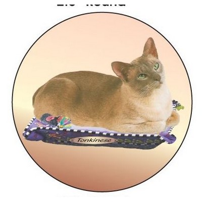 Tonkinese Cat Round Badge w/ Bar Pin (2 1/2")