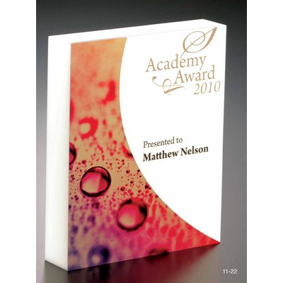 Metal & Acrylic Rectangular Award
