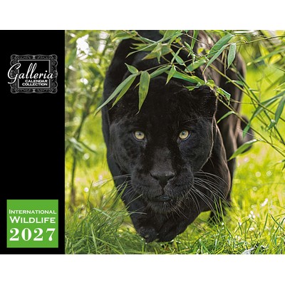 Galleria Wall Calendar 2027 International Wildlife