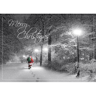 Delivery Christmas Cards