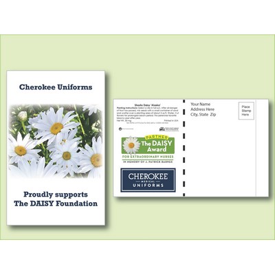 Shasta Daisy Flower Seed Packet - Postcard Mailer Size (4" x 6.5")