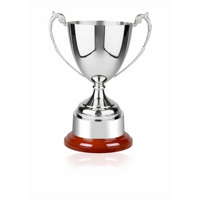 Swatkins Supreme Revolution Plain Buckingham Award