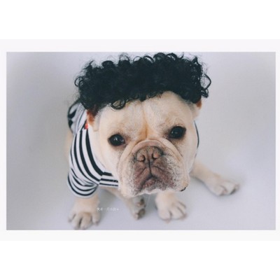 Funny wig curly hair for pets