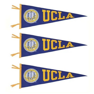 30 x 12 X-Large Pennant Flag