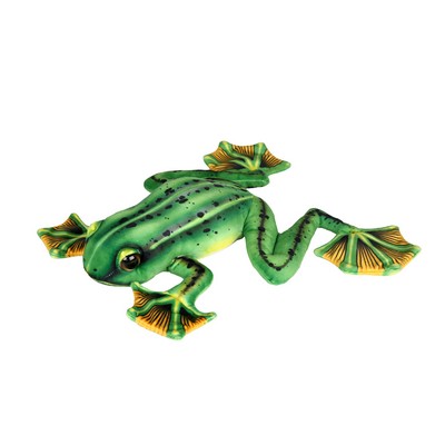 Frog with Webbed Feet