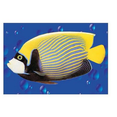 Tropical Fish Rectangle Badge w/ Bar Pin (2"x3")