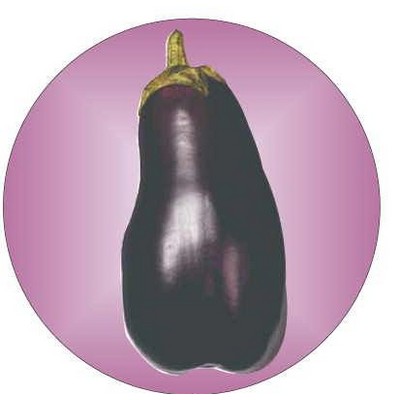 Eggplant Round Metal Photo Magnet (2 1/2")