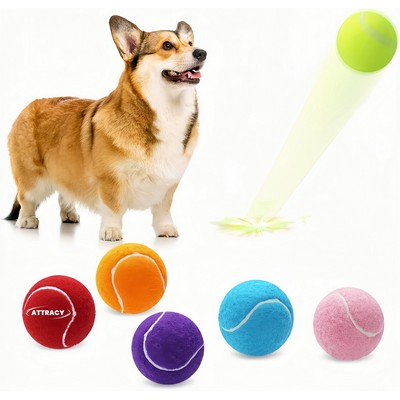 Pet 2" Training Tennis Balls