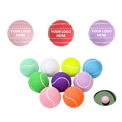Colorful Practice Pet Tennis Ball