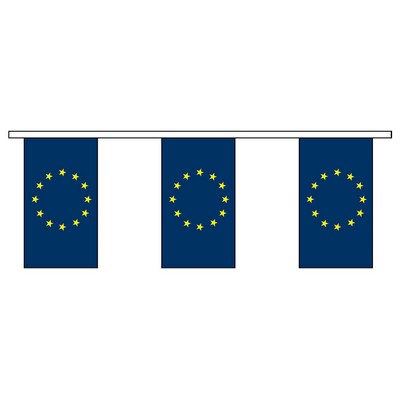 30' Council of Europe International Collection Display Flag