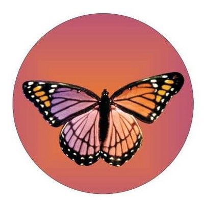 Purple & Pink Butterfly Round Metal Photo Magnet (2 1/2")