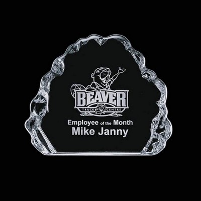 Spence Iceberg Award