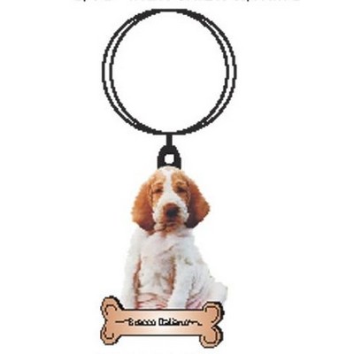 Bracco Italiano Dog Keychain w/Mirrored Back (8 Square Inch)