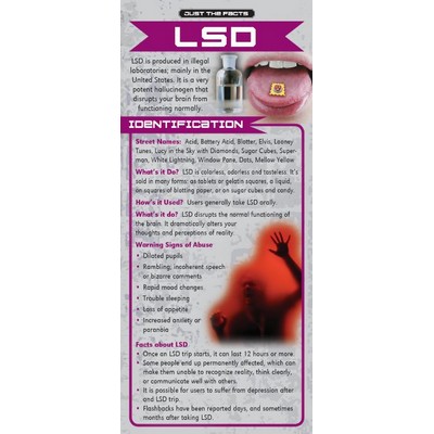 LSD Just the Facts Rack Card (4" x 9")