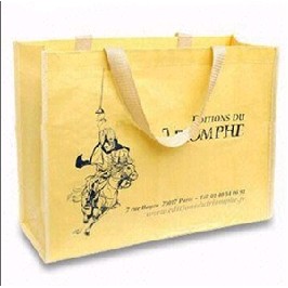 Non woven shopping bag