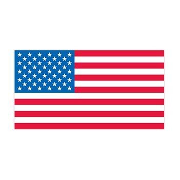 American Flag Team USA Stock Temporary Tattoo