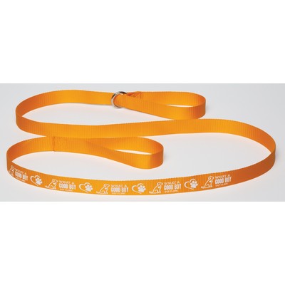 6' Pet Slip Leads