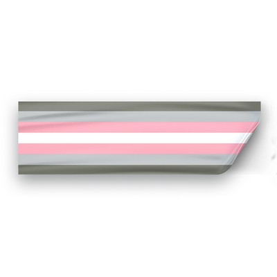 3" x 10" Demi girl Pride Window Decals