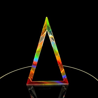 9.5" Spectrum Award™