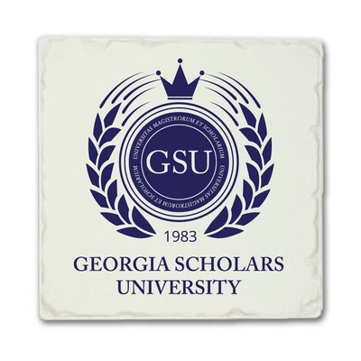 CoasterStone 4" Tumbled Square-Bulk