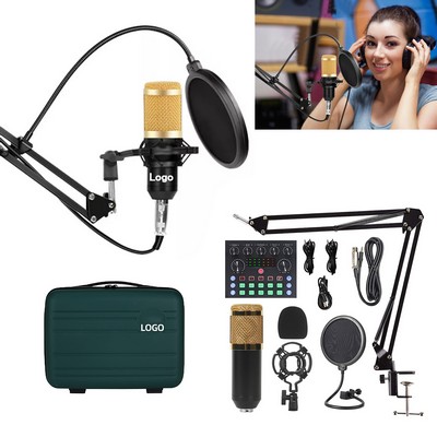 Sound Card & Microphone & Mic Arm Bracket Set