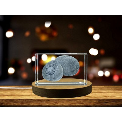 Kiwi 3D Engraved Crystal Trophy Award w/LED Base Gift