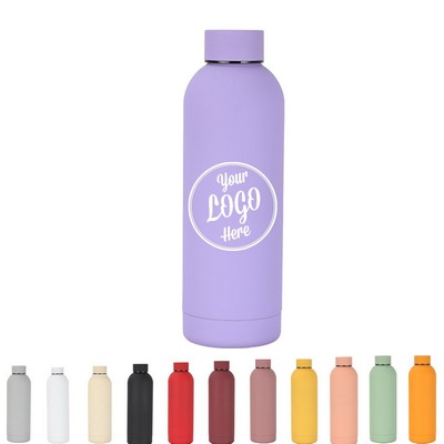 Insulated Stainless Steel Water Bottle