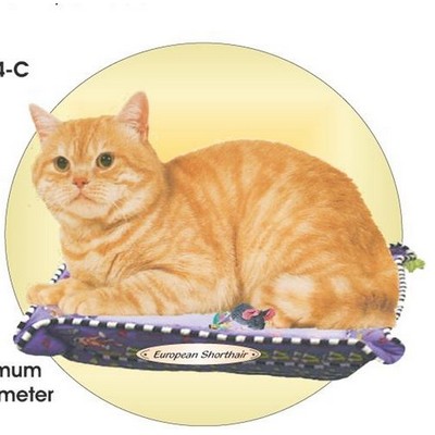 European Shorthair Cat Acrylic Coaster w/Felt Back