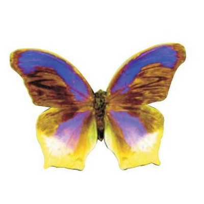 Purple & Yellow Butterfly Magnet w/ Full Magnetic Back (10 Square Inch)