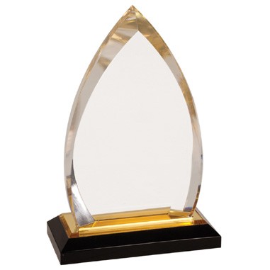 7" Oval Acrylic Award with Gold Accent (Screen printed)