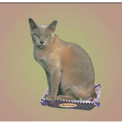 Burmese Cat Metal Photo Magnet (2 1/2"x2 1/2")