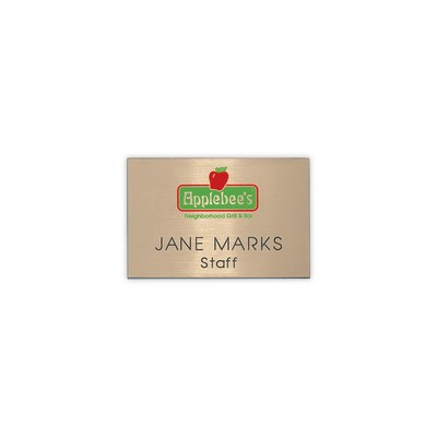 Hollywood Plastic Name Badge (Standard Size 2" x 3")