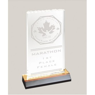 Ice Top Reflection Acrylic Award (4.5" x 8")