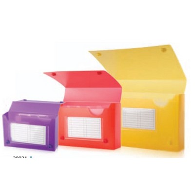 Assorted Frosted Index Card Case (4 ½" x 6 ¼" x 1 ½")