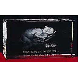 Custom 3-D Image in Crystal Horizontal Award (3 1/2")