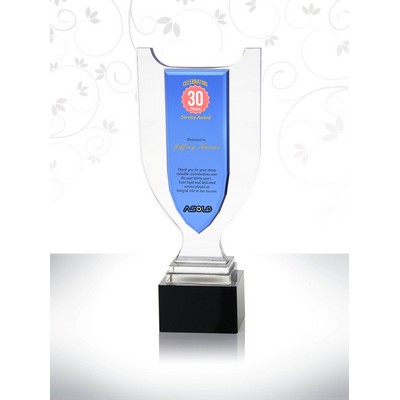 Crystal Crowning Achievement Award