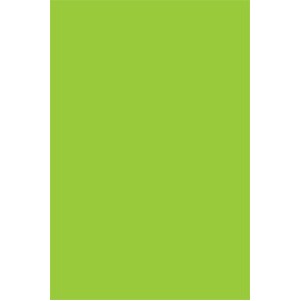Fluorescent Green Rectangle Labels - 3" x 10"