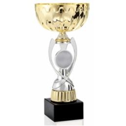 12" Assembled Medium Silver/Gold Cup Trophy