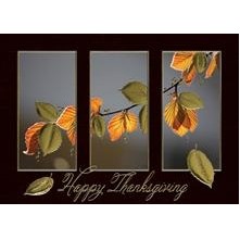 Autumn Leaves Triptych