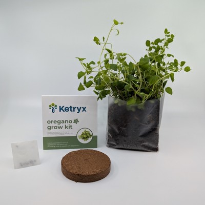 Pocket Garden Complete Grow Kit | 16+ Seed Options | Eco-Friendly & Stackable | Perfect Handout