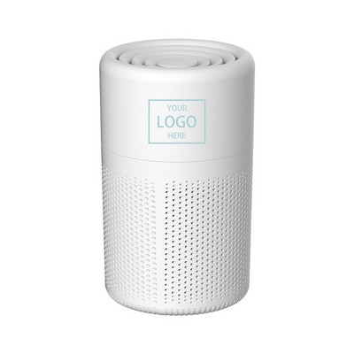 Mini Air Purifier