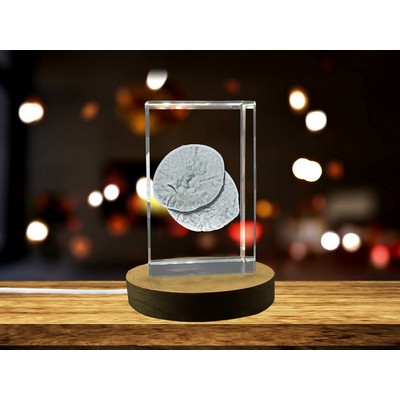 Pita Bread 3D Engraved Crystal Trophy Award w/LED Base