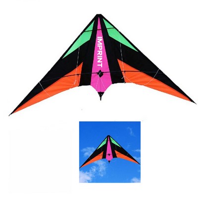 Professional Adult Sports Kite Set