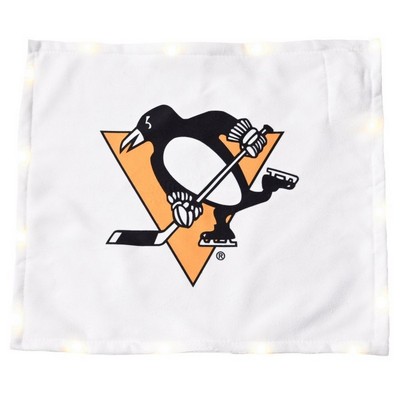 Rally Towel with LED Lights