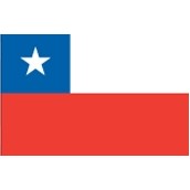 4'x6' Chile U.N. Nylon Outdoor Flag - Style A