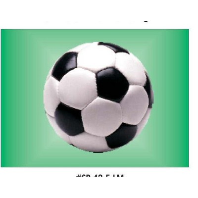 Soccer Ball Metal Photo Magnet w/ Magnetic Back (2 1/2"x3 1/2")