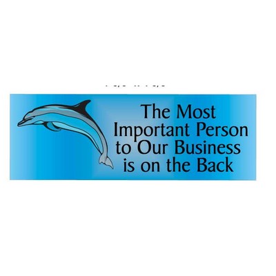 Dolphin Panoramic Photo Hand Mirror (1 5/8"x4 5/8")