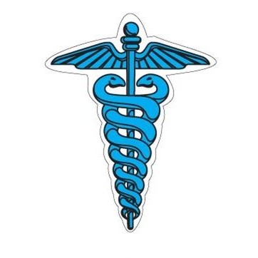 Caduceus Executive Magnet w/ Full Magnetic Back (4 Square Inch)