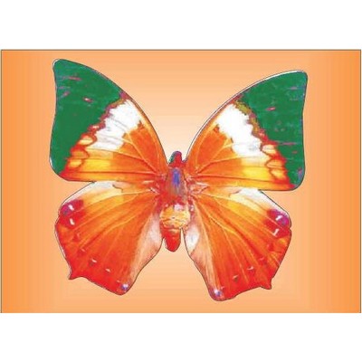 Orange & Green Butterfly Rectangle Metal Photo Magnet (2"x3")